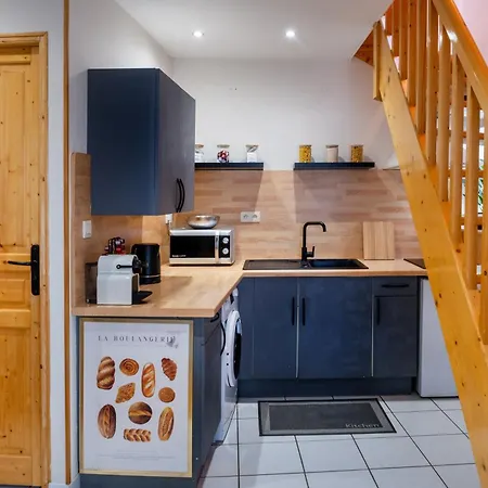 Appartement Le Duplex De L'hôtel De Lourdes